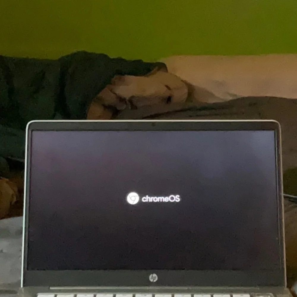 HP Silver Laptop Sleek Design Chromebook.